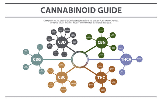 Cannabinoids Diagram